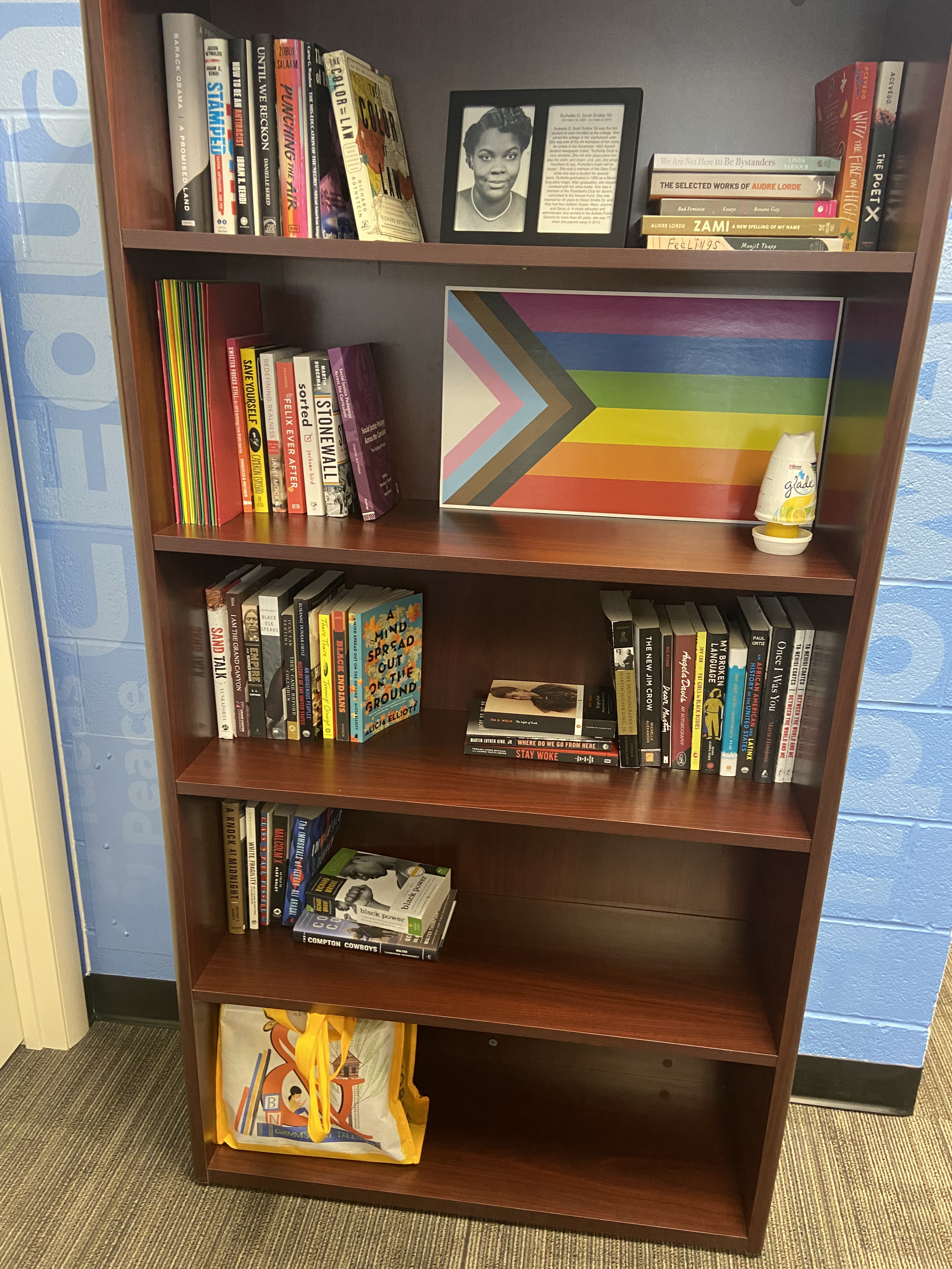 A bookshelf with several books and an LGBTQ+ flag.