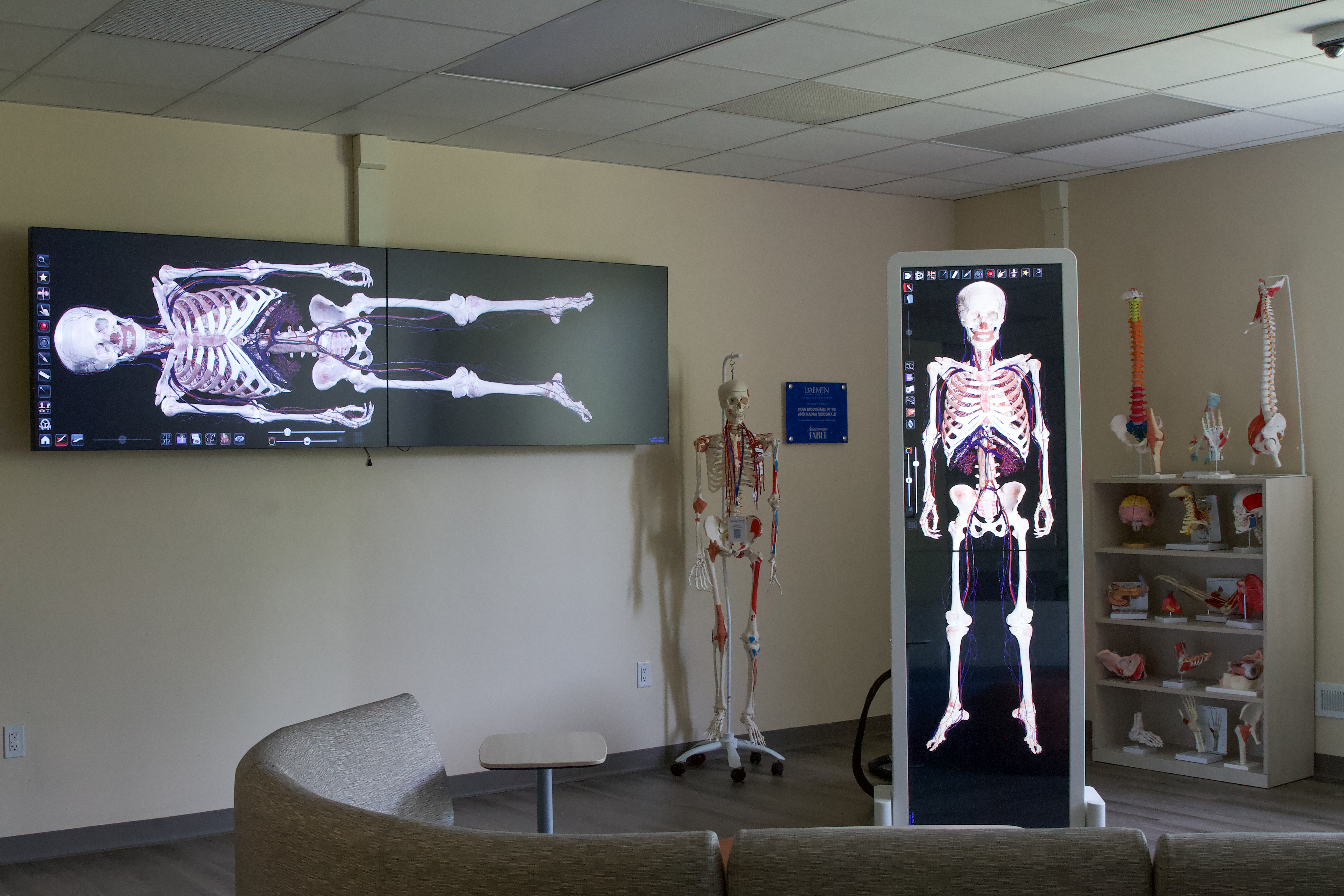 Two long monitors – one mounted on the wall – with a full skeleton display inside a classroom