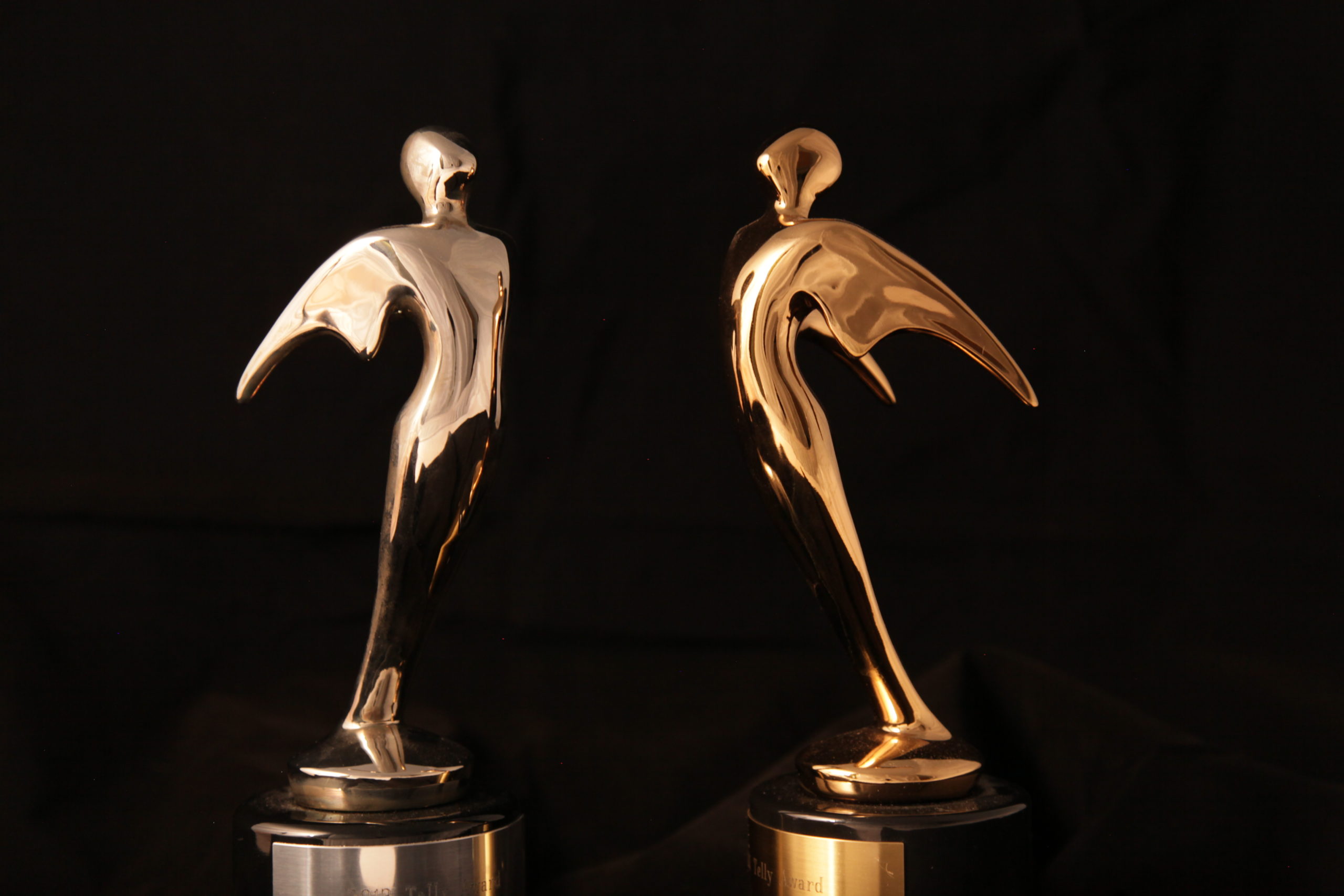 Daemen Telly Awards