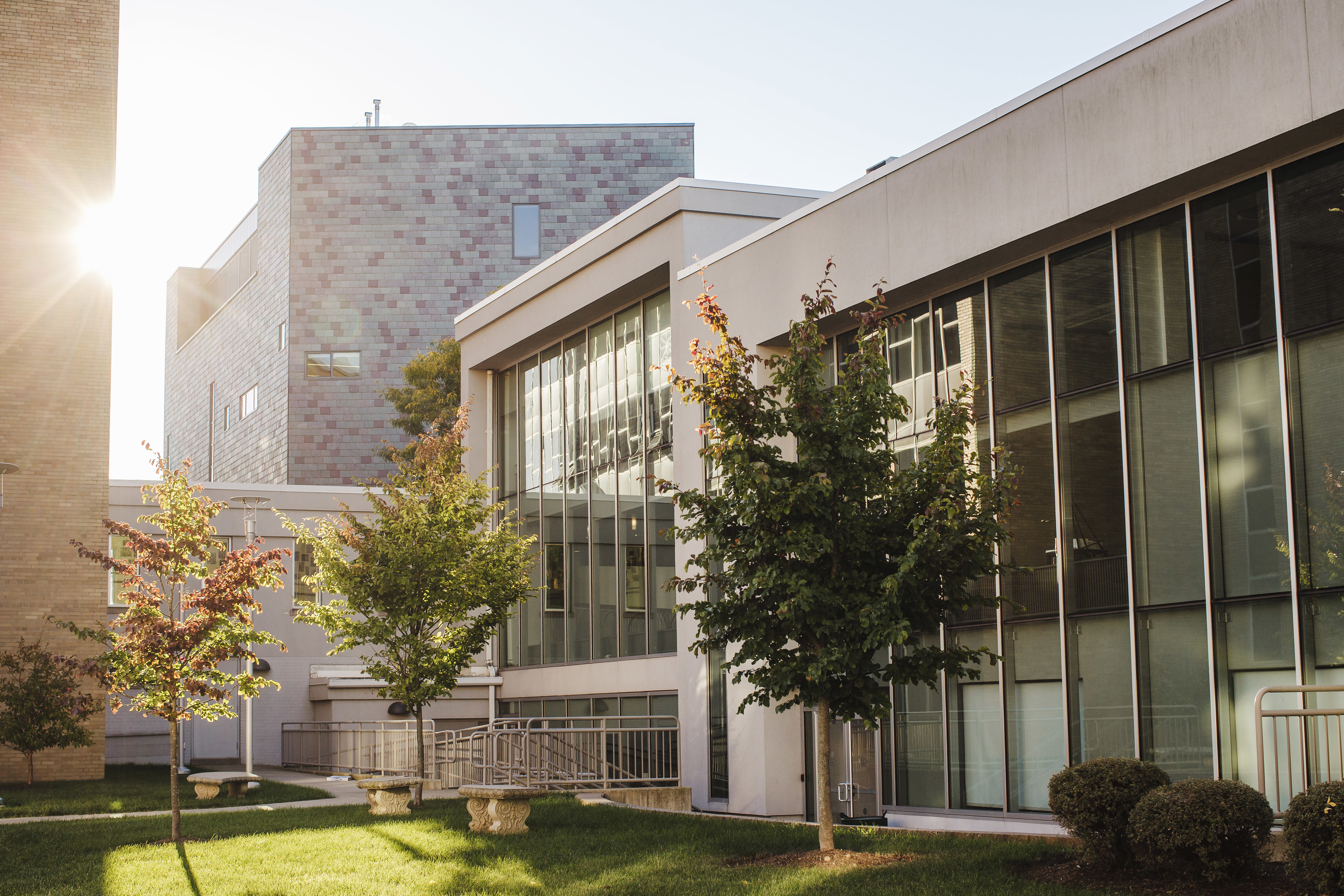 Contemporary building with long windows and gray brick with green grass, trees and a sidewalk in front of it