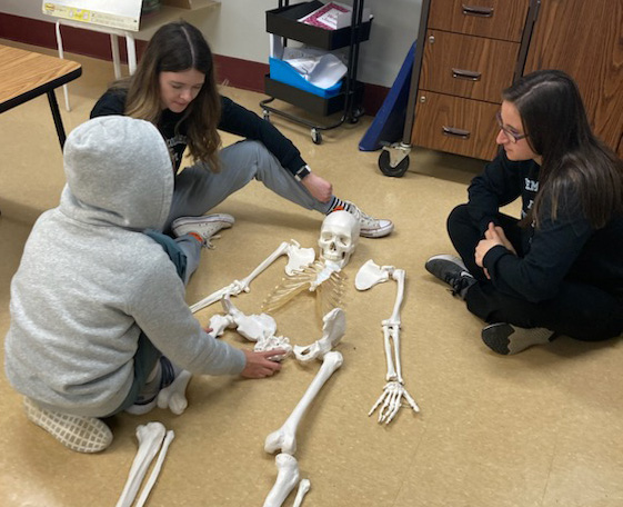 Students examining a medical skeleton on the floor