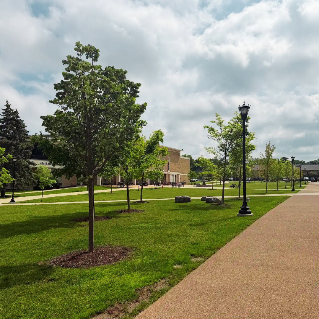 Saffrin Public Square, trees by pathway