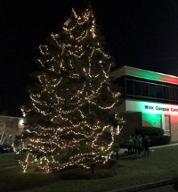 Tree Lighting Ceremony