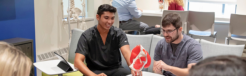 Students in the Anatomy Lounge looking at a model heart