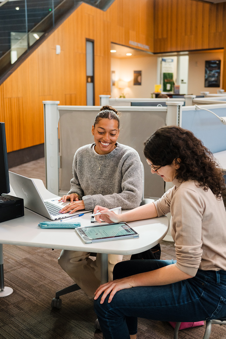 Two students sitting at a workstation in the RIC