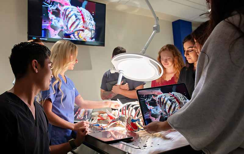 Students in lab examining a medical skeleton on a metal table