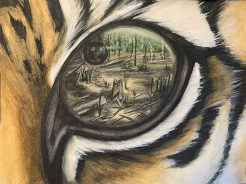 Illustration of forest cut down reflected in a tigers eye