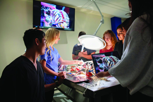 Dr. Barwell instructing students.