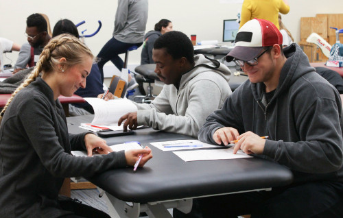 Students studying on an exam table in the physical therapy classroom