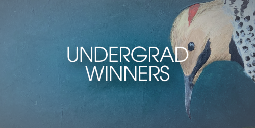 Undergrad Winners