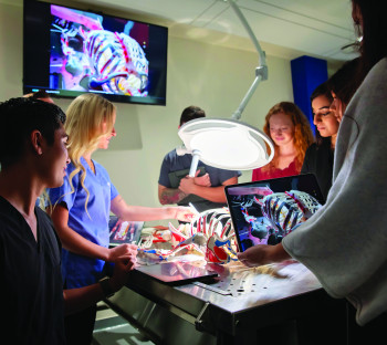 Students gathered around a medical cadaver mannequin in PA lab 