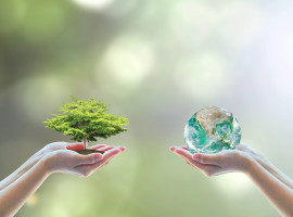 Environmental Summit