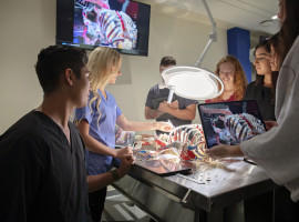 Male and female students standing around a surgical table reviewing a skeleton together