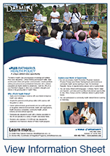 Health Policy Plus Program Flyer