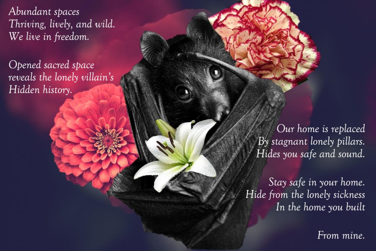 Bat Poem Submission